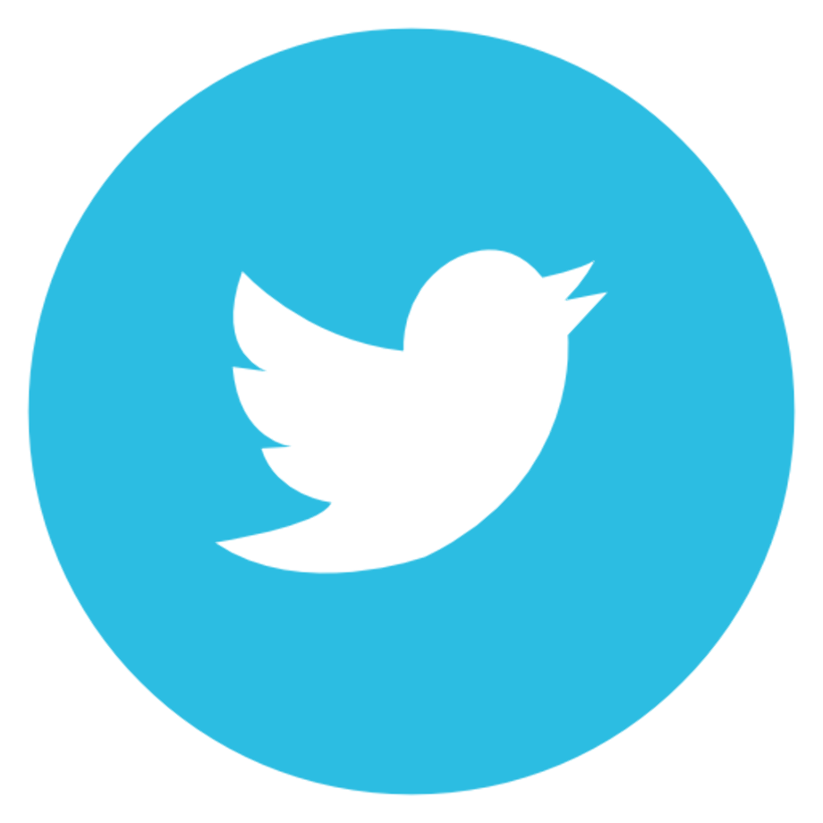 Twitter Icon